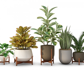 Modern Potted Green Plant-ID:610933749