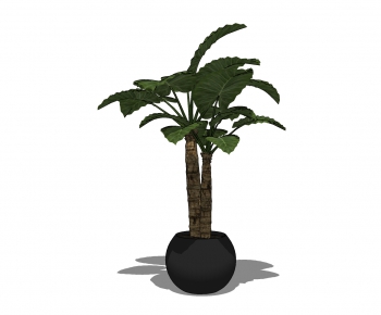 Modern Potted Green Plant-ID:399903638