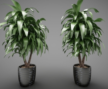 Modern Potted Green Plant-ID:466302512