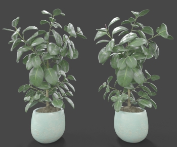 Modern Potted Green Plant-ID:343760973