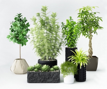 Modern Potted Green Plant-ID:252359654