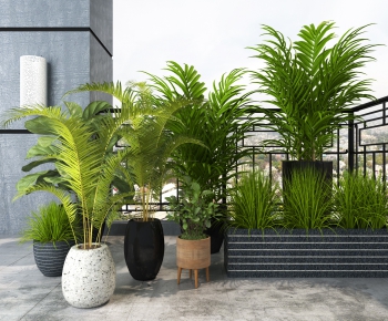 Modern Potted Green Plant-ID:956347494