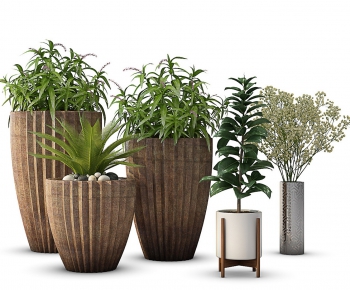 Modern Potted Green Plant-ID:596808649