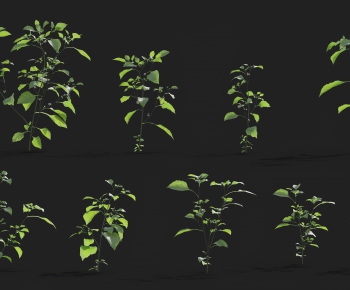 Modern The Grass-ID:109910447