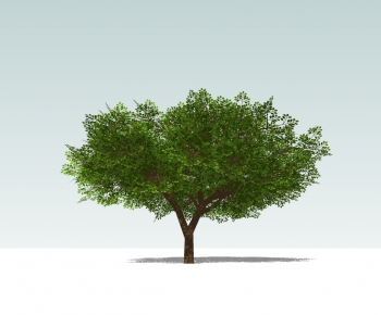 Modern Tree-ID:900561438