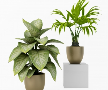 Modern Potted Green Plant-ID:318692112