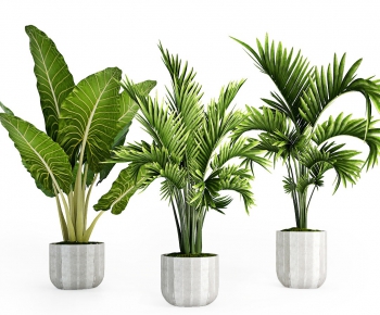 Modern Potted Green Plant-ID:670881881