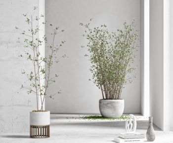 Modern Potted Green Plant-ID:585117242