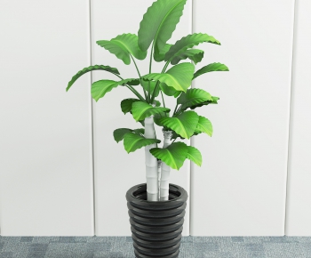 Modern Potted Green Plant-ID:518315628