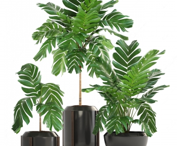 Modern Potted Green Plant-ID:112611345