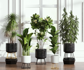 Modern Potted Green Plant-ID:187842695