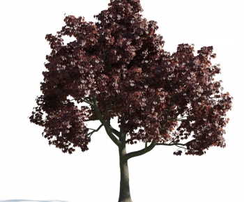 Modern Tree-ID:370564346