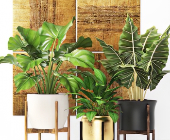 Modern Potted Green Plant-ID:354859949