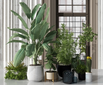 Modern Potted Green Plant-ID:368900595