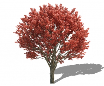Modern Tree-ID:580820146
