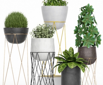 Modern Potted Green Plant-ID:146691359