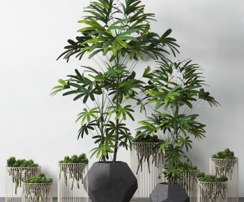 Modern Potted Green Plant-ID:542510888