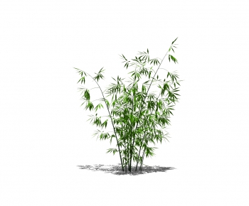 Modern Bamboo-ID:206957736