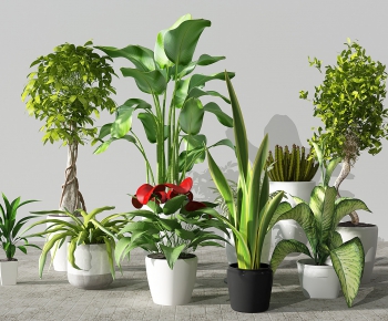 Modern Potted Green Plant-ID:777327187