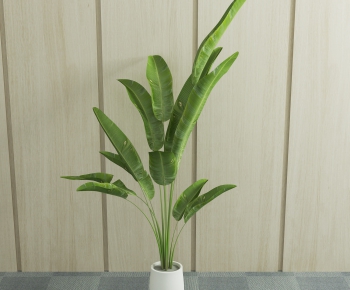 Modern Potted Green Plant-ID:215584785