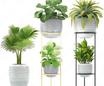 Modern Potted Green Plant-ID:245638156