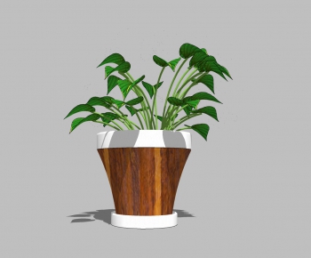 Modern Potted Green Plant-ID:109435547
