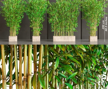Modern Bamboo-ID:578272882