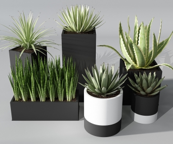 Modern Potted Green Plant-ID:667436591