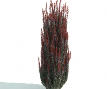 Modern Shrubbery-ID:602284179