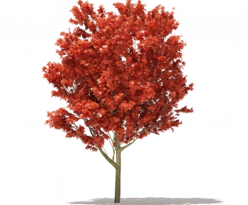 Modern Tree-ID:815679321