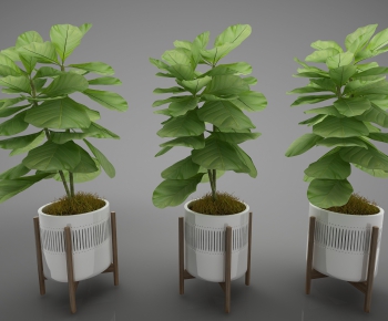 Modern Potted Green Plant-ID:600642451