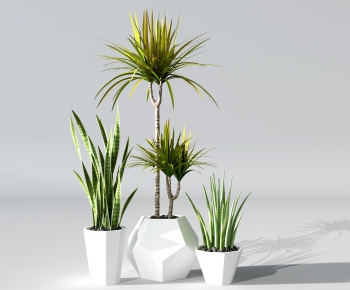 Modern Potted Green Plant-ID:638921773