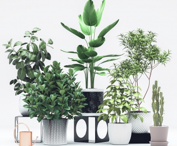 Modern Potted Green Plant-ID:861003389