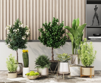 Modern Potted Green Plant-ID:957344532