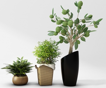 Modern Potted Green Plant-ID:875481331