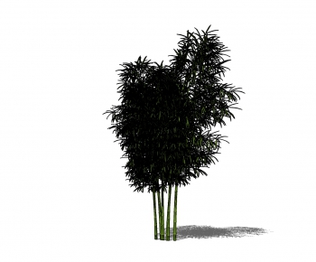 Modern Bamboo-ID:125743777
