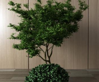 Modern Tree-ID:401234762