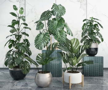 Modern Potted Green Plant-ID:819824264