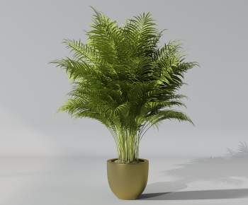 Modern Potted Green Plant-ID:592158943