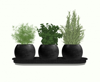 Modern Potted Green Plant-ID:749529593