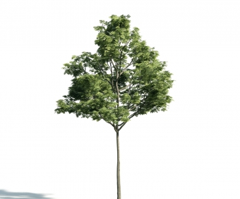 Modern Tree-ID:840021322