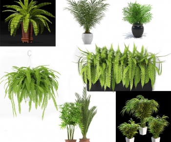 Modern Potted Green Plant-ID:242451779