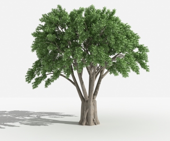 Modern Tree-ID:847221412