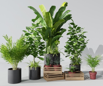 Modern Potted Green Plant-ID:579263196