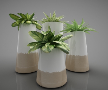 Modern Potted Green Plant-ID:655343735