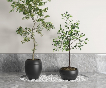 Modern Potted Green Plant-ID:458801946