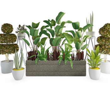 Modern Potted Green Plant-ID:469024721