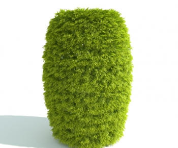 Modern Shrubbery-ID:781607369