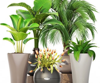 Modern Potted Green Plant-ID:760439539