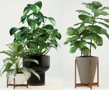 Modern Potted Green Plant-ID:689593231